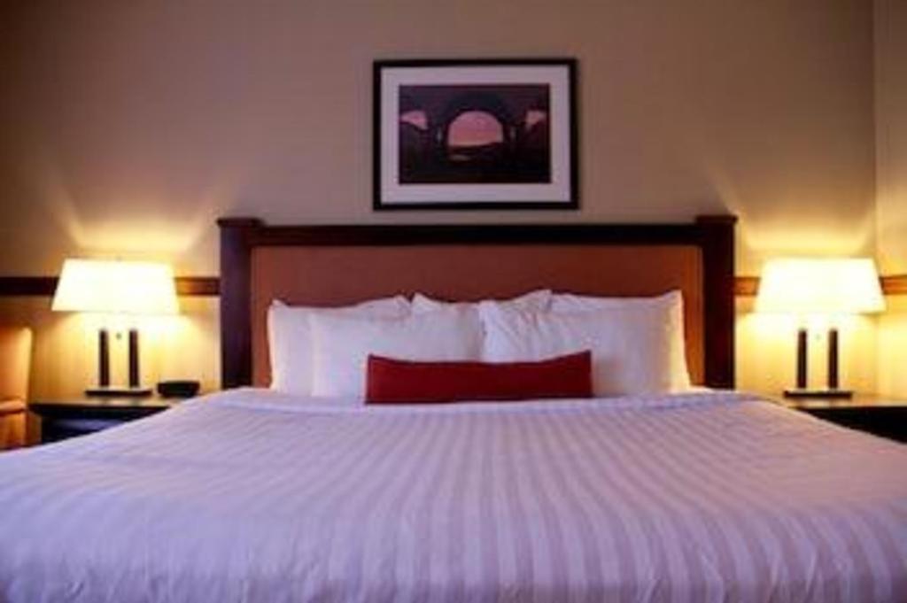 Best Western Diamond Inn Three Hills Extérieur photo